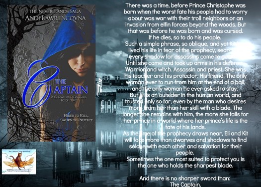 Andi the captain blurb.jpg