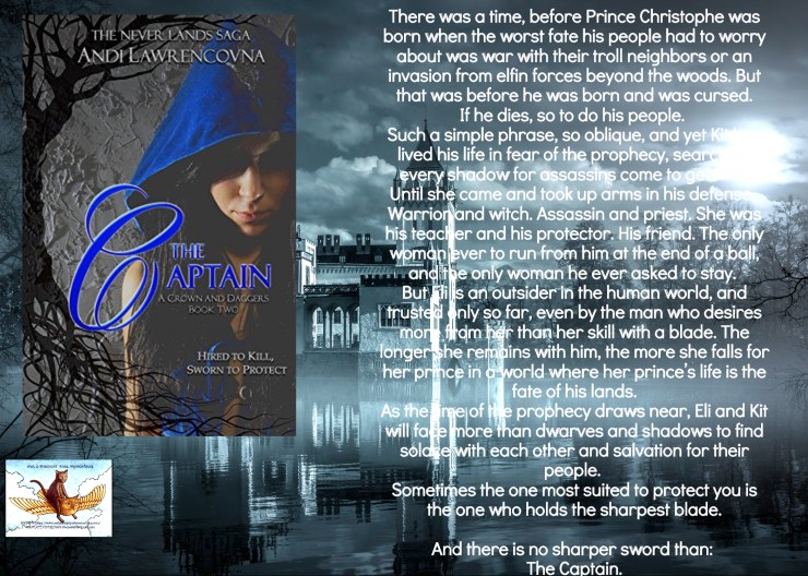 Andi the captain blurb.jpg