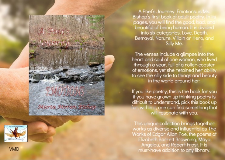 Marta journey emotions blurb.jpg