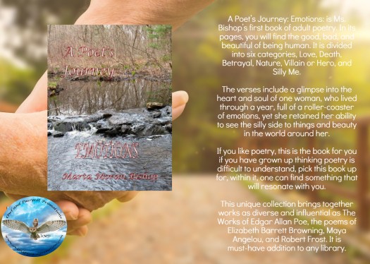 Marta journey emotions blurb.jpg