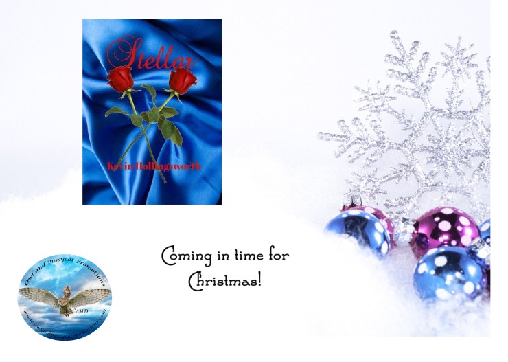 Kevin stellar Chrismas.jpg