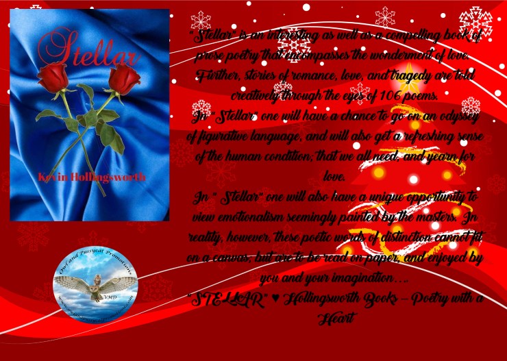 Kevin stellar Christmas