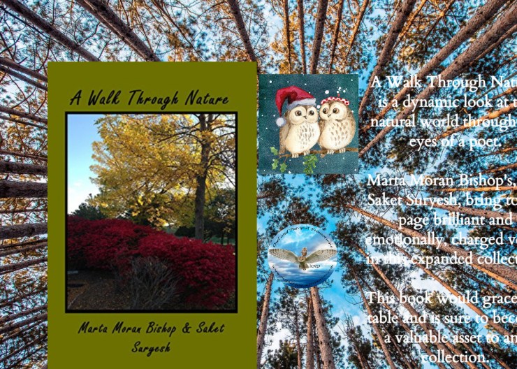 Marta walk through nature  Christmas.jpg