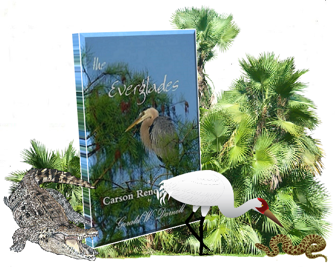 Ger everglades with bird and gator