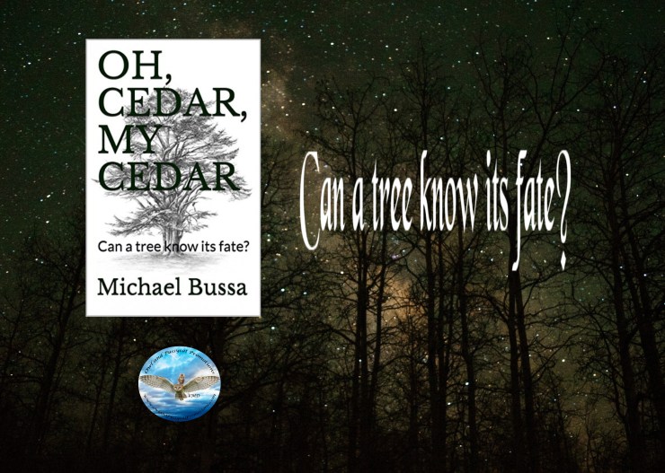 Michael oh cedar blurb.jpg