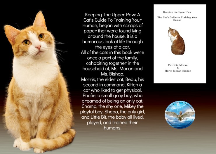 Marta cats 2-26-18.jpg