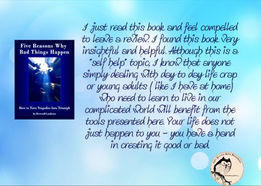 5reasonswhy review.jpg