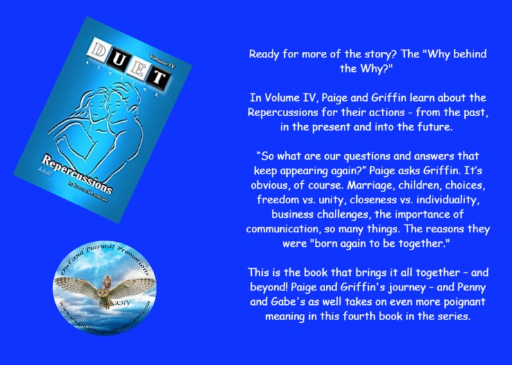 REPERCUSSIONS BLURB.jpg