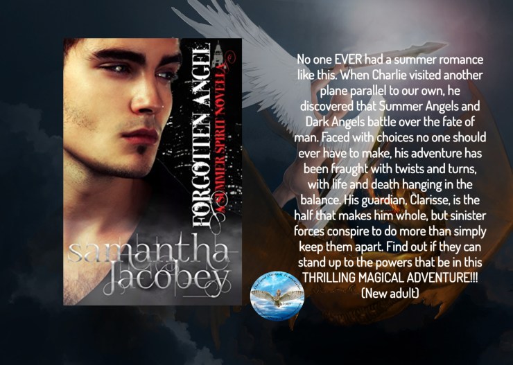 Sam forgotten angel blurb 3-5-18.jpg