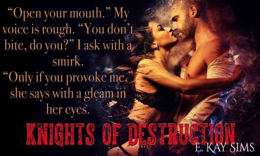 E Kay knights of destruction 1.jpg