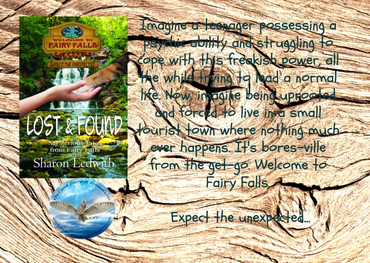 lost and found blurb mff sl.jpg