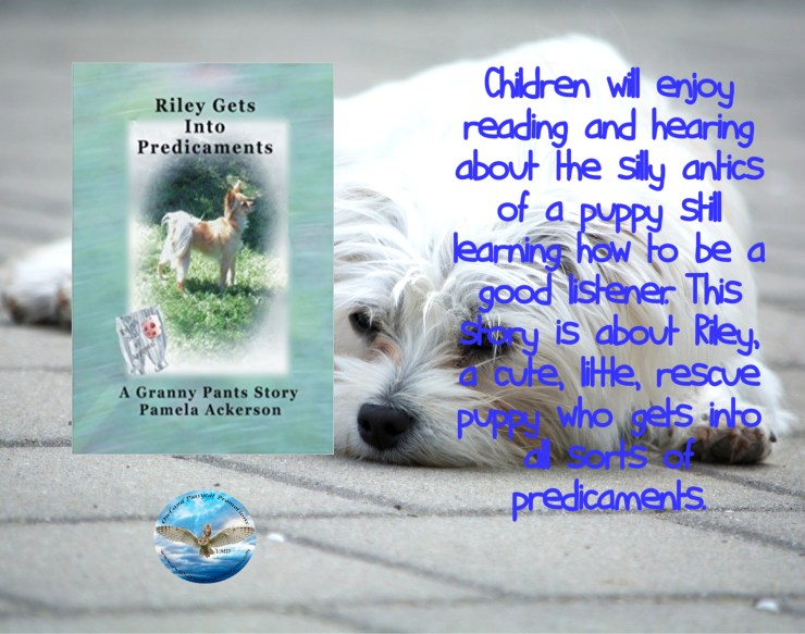 Pam riles blurb 4-16-18.jpg