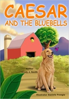 51BdRJZrrNL._SX348_BO1,204,203,200_