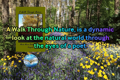 Marta a walk through nature 6-25-18.gif