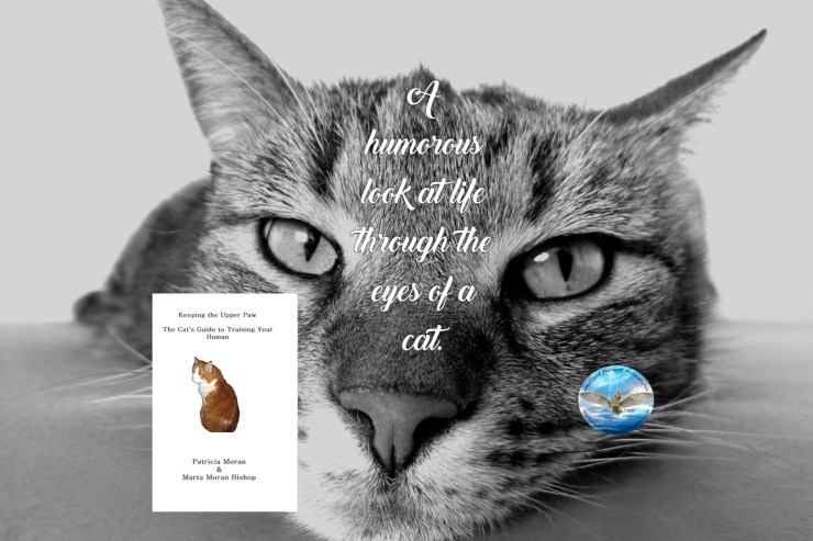 Marta cat guide to training your human 6-4-18.jpg