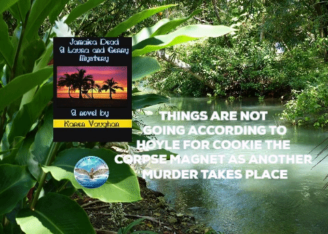 Animated GIF-downsized_large