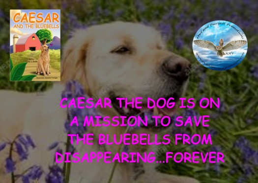 CAESARBLUEBELLSBLURB2 (1).jpg