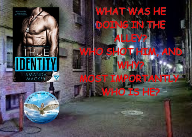 TRUEIDENTITY TEASER 2 (1).jpg