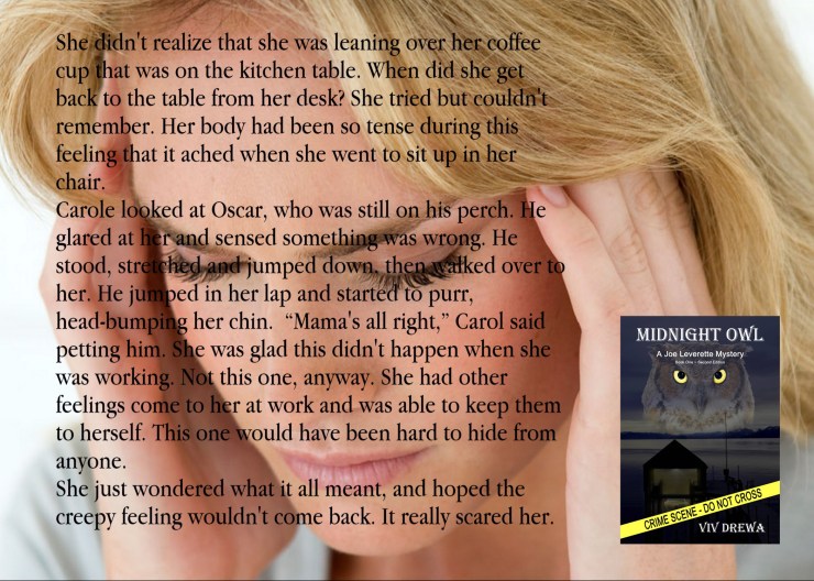 midnightowlexcerpt.jpg