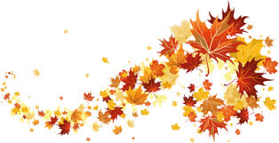 AUTUMN LEAVES
