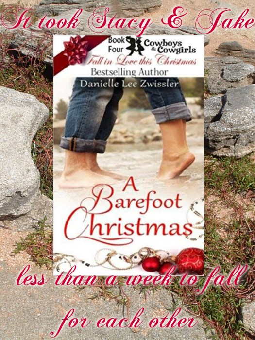 Barefoot Christmas promo Danielle Zwissler
