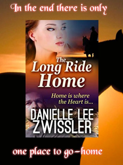 Long Ride Home promo Danielle Zwissler