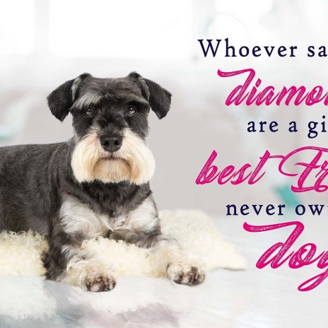 IMG_20180622_154903_443