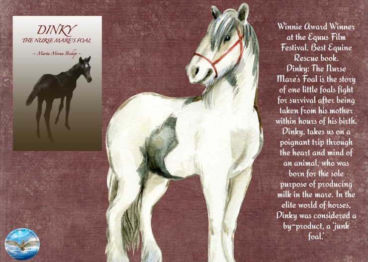 Marta dinky blurb.jpg