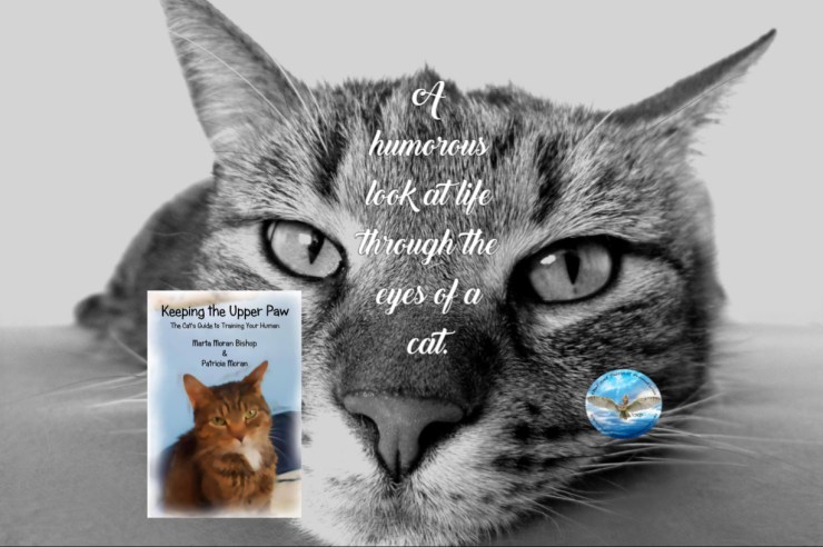 Marta cat guide to training your human 6-4-18.jpg