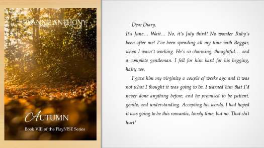 52634601_448246862585154_2680386736067969024_n