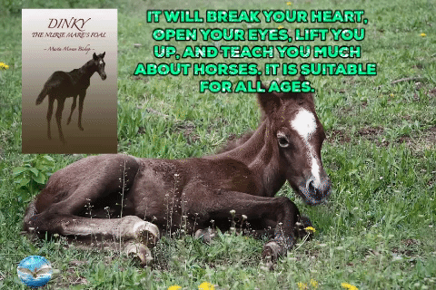 Animated GIF-downsized_large