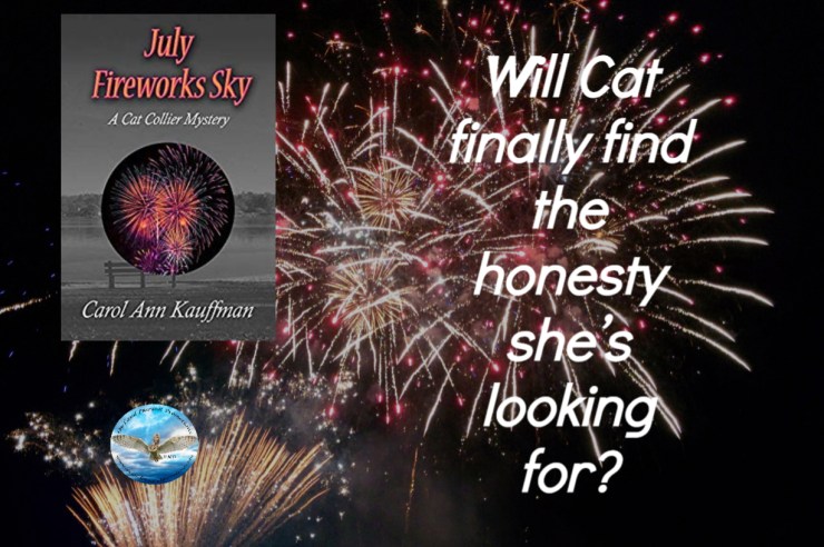 Carol July fireworks sky 7-2019.jpg