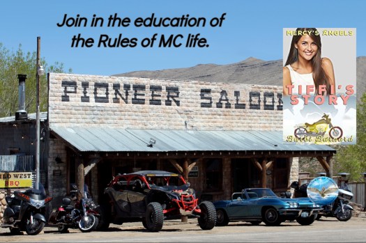 Barbi mercys angels 2.jpg