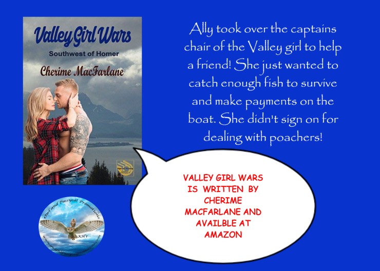 VALLEYGIRL WARS BLURB.jpg