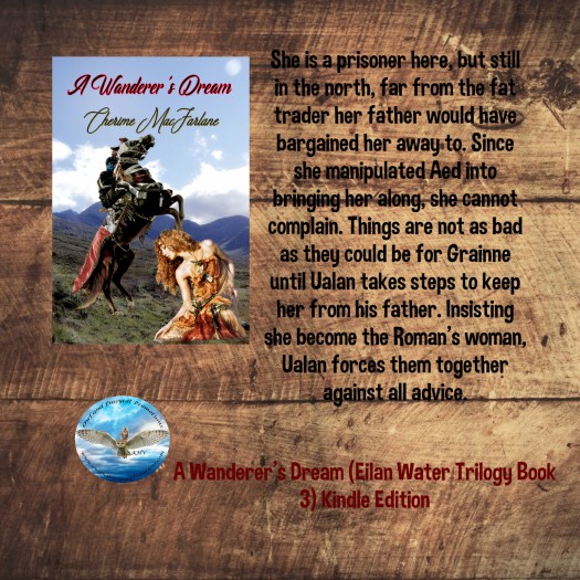 A WANDERERS DREAM BLURB.jpg