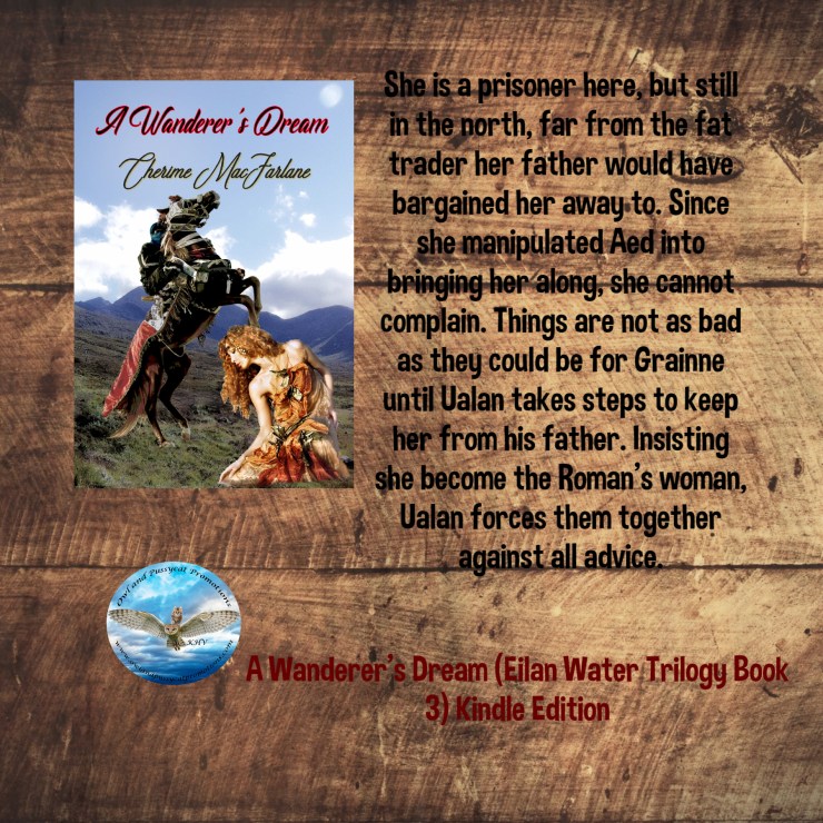 A WANDERERS DREAM BLURB.jpg