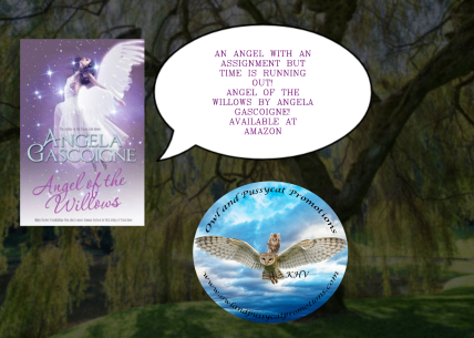 ANGELOFTHE WILLOWS (1).jpg